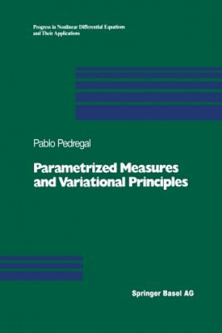 Kniha Parametrized Measures and Variational Principles Pablo Pedregal