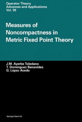 Kniha Measures of Noncompactness in Metric Fixed Point Theory J.M. Ayerbe Toledano