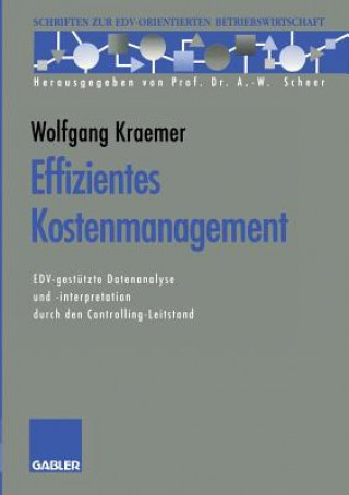 Książka Effizientes Kostenmanagement Wolfgang Kraemer