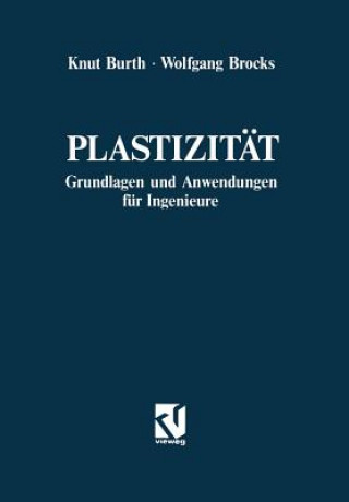 Kniha Plastizität Wolfgang Brocks