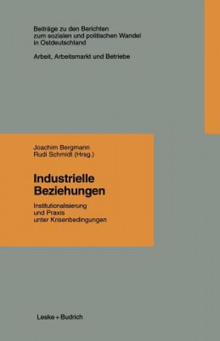 Kniha Industrielle Beziehungen Joachim Bergmann