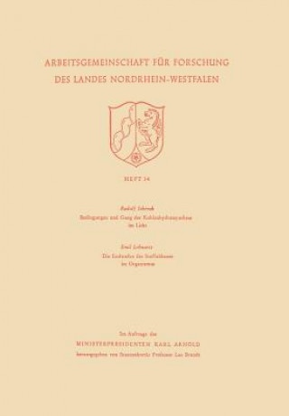 Книга Bedingungen Und Gang Der Kohlenhydratsynthese Im Licht / Die Endstufen Des Stoffabbaues Im Organismus Rudolf Schenck