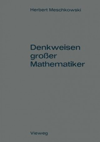 Buch Denkweisen Grosser Mathematiker Herbert Meschkowski