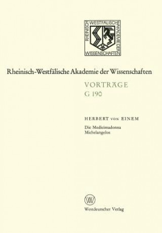 Buch Die Medicimadonna Michelangelos Herbert  von Einem