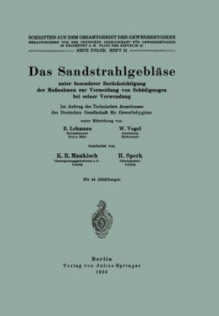 Kniha Das Sandstrahlgeblase E. Lehmann