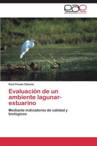 Könyv Evaluacion de un ambiente lagunar- estuarino Raúl Pineda Olmedo