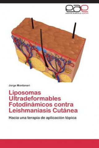 Carte Liposomas Ultradeformables Fotodinamicos contra Leishmaniasis Cutanea Jorge Montanari