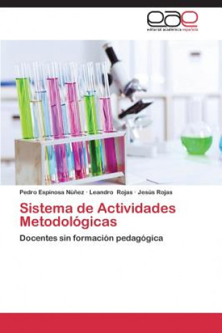 Buch Sistema de Actividades Metodologicas Pedro Espinosa Nú