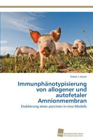 Könyv Immunphanotypisierung von allogener und autofetaler Amnionmembran Rafael J. Hasler