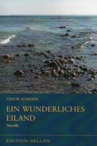 Книга Ein wunderliches Eiland Fedor Sommer