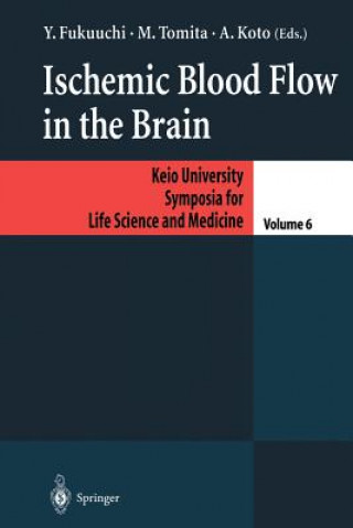 Livre Ischemic Blood Flow in the Brain Y. Fukuuchi