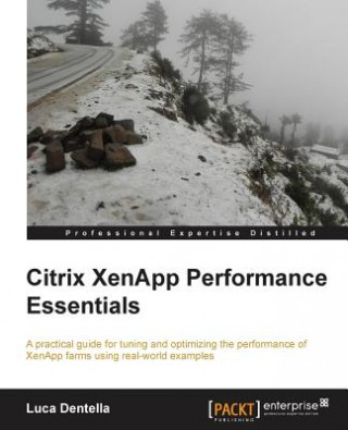 Carte Citrix XenApp Performance Essentials Luca Dentella