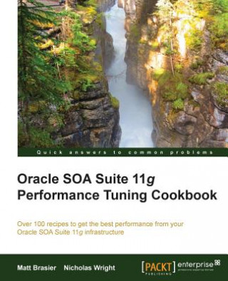 Kniha Oracle SOA Suite Performance Tuning Cookbook Matthew Brasier
