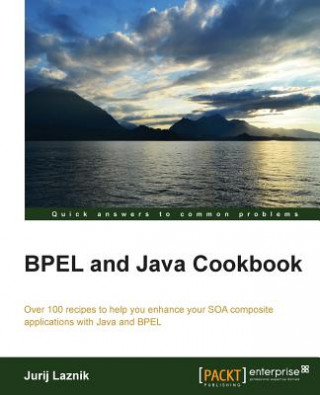 Könyv BPEL and Java Cookbook Jurij Laznik