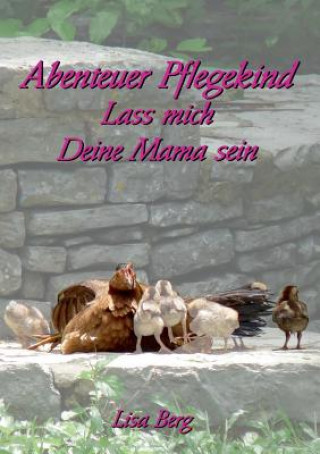 Kniha Abenteuer Pflegekind Lisa Berg