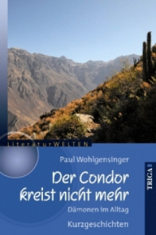 Carte Der Condor kreist nicht mehr Paul Wohlgensinger