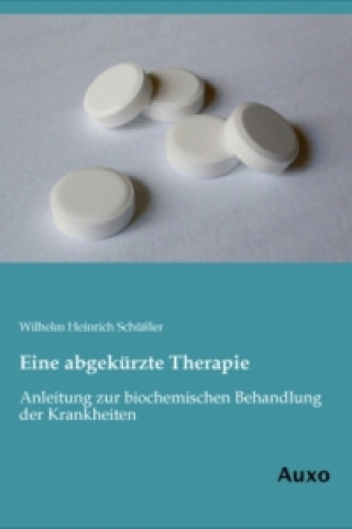 Könyv Eine abgekürzte Therapie Wilhelm H. Schüßler