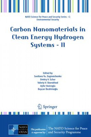 Kniha Carbon Nanomaterials in Clean Energy Hydrogen Systems - II Svetlana Yu. Zaginaichenko