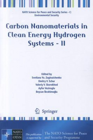 Kniha Carbon Nanomaterials in Clean Energy Hydrogen Systems - II Svetlana Yu. Zaginaichenko