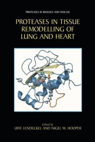 Kniha Proteases in Tissue Remodelling of Lung and Heart Uwe Lendeckel