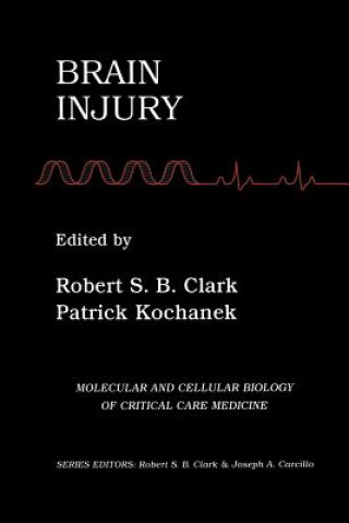 Kniha Brain Injury Robert S.B. Clark