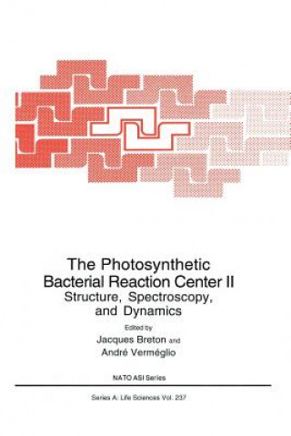 Kniha Photosynthetic Bacterial Reaction Center II Jacques Breton