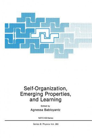 Buch Self-Organization, Emerging Properties, and Learning Agnessa Babloyantz