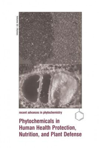 Knjiga Phytochemicals in Human Health Protection, Nutrition, and Plant Defense John T. Romeo