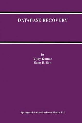 Kniha Database Recovery, 1 Vijay Kumar