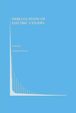 Knjiga Deregulation of Electric Utilities Georges Zaccour