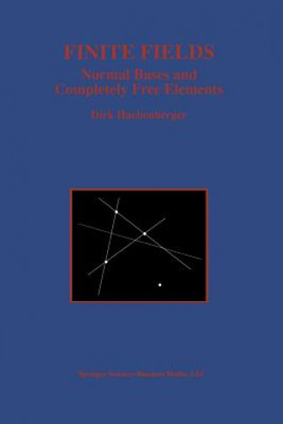 Buch Finite Fields, 1 Dirk Hachenberger