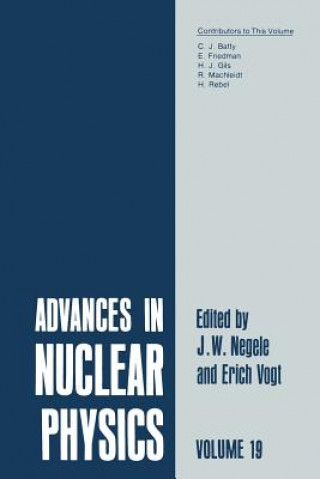 Kniha Advances in Nuclear Physics J.W. Negele