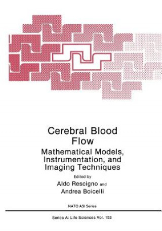 Kniha Cerebral Blood Flow Andrea Boicelli
