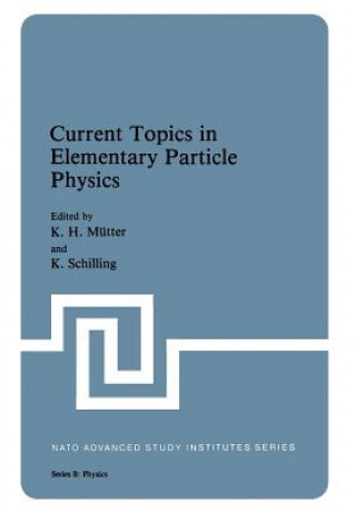 Knjiga Current Topics in Elementary Particle Physics K. H. Mutter