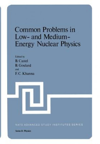 Книга Common Problems in Low- and Medium-Energy Nuclear Physics B. Castel