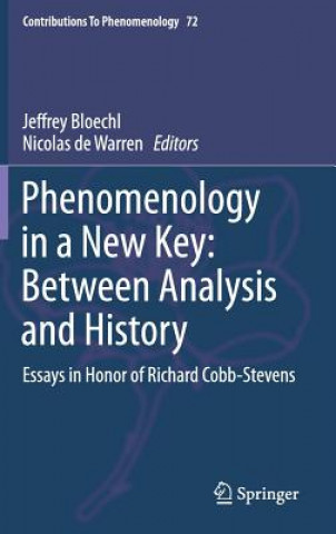 Книга Phenomenology in a New Key: Between Analysis and History Nicolas de Warren