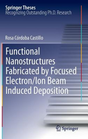 Könyv Functional Nanostructures Fabricated by Focused Electron/Ion Beam Induced Deposition Rosa Córdoba Castillo