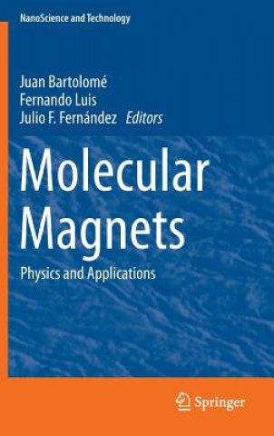 Carte Molecular Magnets Juan Bartolomé