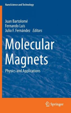 Libro Molecular Magnets Juan Bartolomé