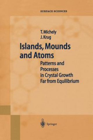 Książka Islands, Mounds and Atoms Thomas Michely