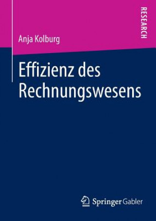 Kniha Effizienz Des Rechnungswesens Anja Kolburg