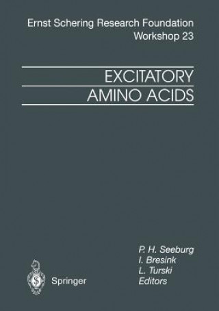 Kniha Excitatory Amino Acids Peter H. Seeburg