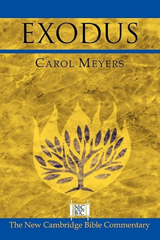 Carte Exodus Carol Meyers