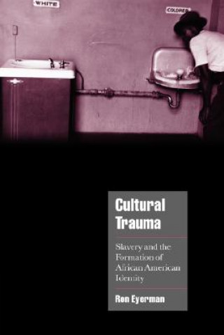 Книга Cultural Trauma Ron Eyerman