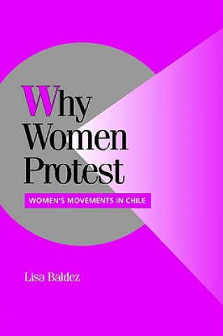 Książka Why Women Protest Lisa Baldez