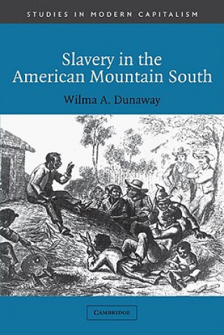 Könyv Slavery in the American Mountain South Wilma A. Dunaway