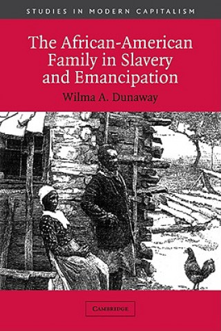 Kniha African-American Family in Slavery and Emancipation Wilma A. Dunaway