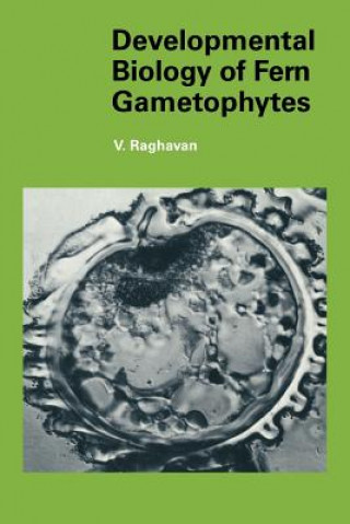 Könyv Developmental Biology of Fern Gametophytes V. Raghavan