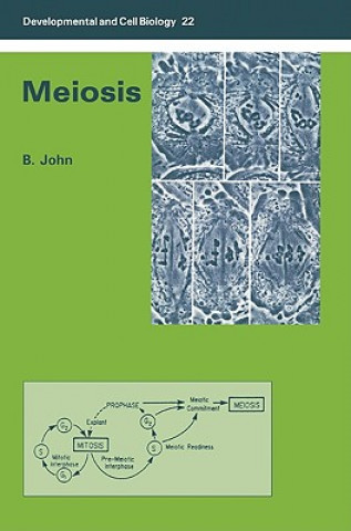 Könyv Meiosis Bernard John