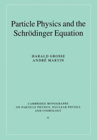 Książka Particle Physics and the Schroedinger Equation Harald GrosseAndri Martin